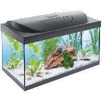 aquarium aquarium