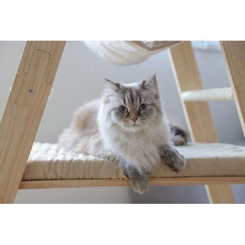 Arbre A Chat Arbre a chat 134 cm - LADDER - KERBL - Bois massif - 3 options de repos