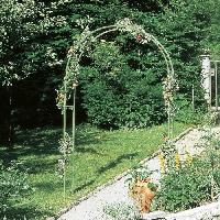 arche-arceau