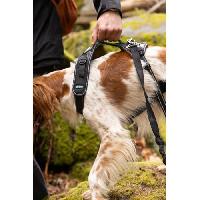 Attache - Sellerie Harnais pour chien - SYMBIOZ - XL - Noir - Bleu