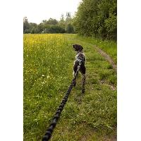 Attache - Sellerie Longe de traction pour chien - INTENSIA - 1.9 m - Double poignée
