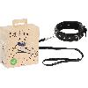 Attacher Collier et Laisse Vegan
