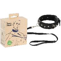 Attacher Collier et Laisse Vegan