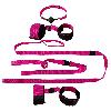 Attacher Kit de bondage Passion Rose