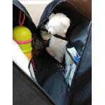 Sac A Langer BABY ON BOARD - Sac a langer - Simply Baby property