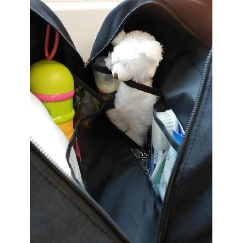 Sac A Langer BABY ON BOARD - Sac a langer - Simply Baby property