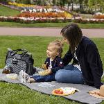 Ustensiles Repas Bebe BADABULLE MaxiBox. Pots de conservation. 3x500 ml