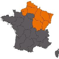 baguette-collier-de-dressage