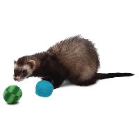 Balles avec clochette compatible avec furet