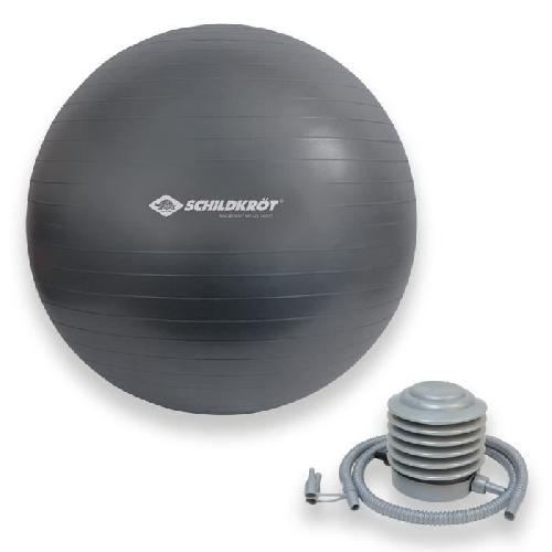 Ballon Suisse - Gym Ball - Swiss Ball Ballon d'exercice - SCHILDKRÖT - Fitness et Yoga - Diametre 75 cm - Pompe incluse