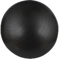 ballon-suisse-gym-ball-swiss-ball
