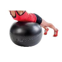 ballon-suisse-gym-ball-swiss-ball