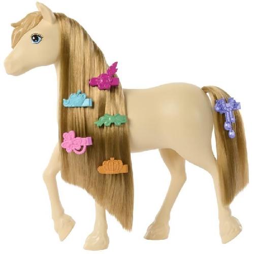 Poupee Barbie ? Barbie Mysteries : The Great Horse Chase-Poney et accessoires HXJ36