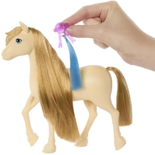 Poupee Barbie ? Barbie Mysteries : The Great Horse Chase-Poney et accessoires HXJ36