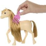 Poupee Barbie ? Barbie Mysteries : The Great Horse Chase-Poney et accessoires HXJ36