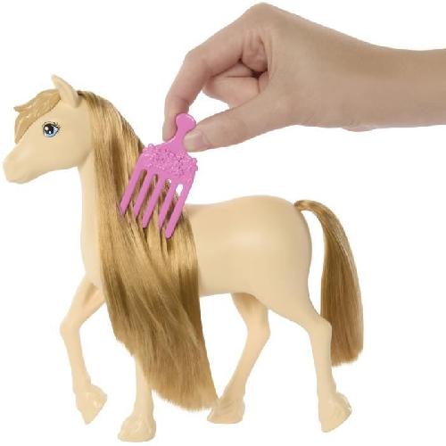 Poupee Barbie ? Barbie Mysteries : The Great Horse Chase-Poney et accessoires HXJ36