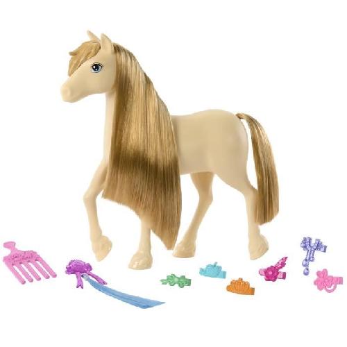 Poupee Barbie ? Barbie Mysteries : The Great Horse Chase-Poney et accessoires HXJ36