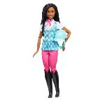 Barbie ? Barbie Mysteries - The Great Horse Chase. Poupee Brooklyn HXJ39