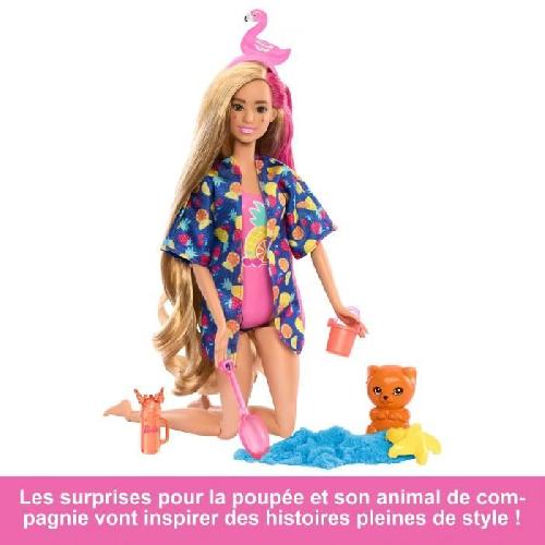 Poupee BARBIE Coffret Barbie Pop Reveal Révélation Surprise - Barbie - HRK57