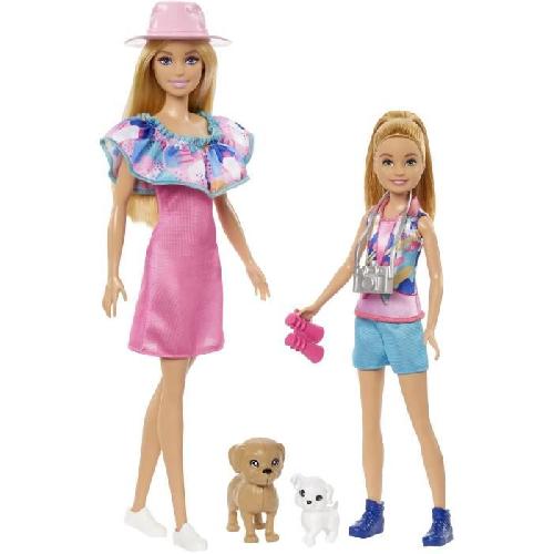 Poupee Barbie-Coffret Poupées Stacie et Barbie avec 2 chiots et accessoires HRM09