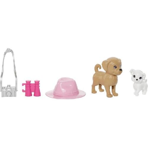 Poupee Barbie-Coffret Poupées Stacie et Barbie avec 2 chiots et accessoires HRM09