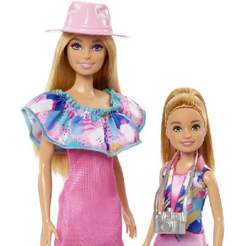 Poupee Barbie-Coffret Poupées Stacie et Barbie avec 2 chiots et accessoires HRM09