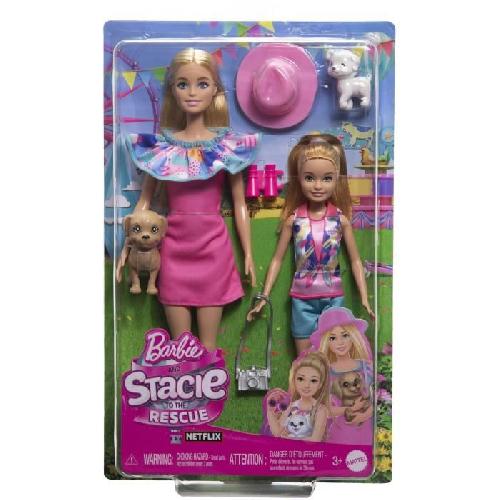 Poupee Barbie-Coffret Poupées Stacie et Barbie avec 2 chiots et accessoires HRM09