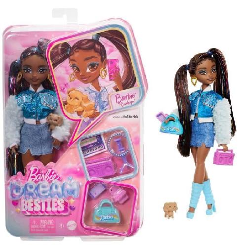 Poupee BARBIE équipe de Reve « Brooklyn »-Poupée et 8 accessoires - Barbie - HYC22