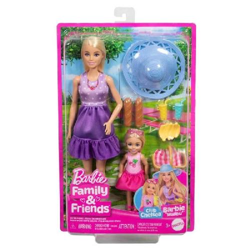 Poupee Barbie-Famille Et Amis-Barbie Pique-Nique-Coffret 2 Poupées - 3 ans+- JBF43