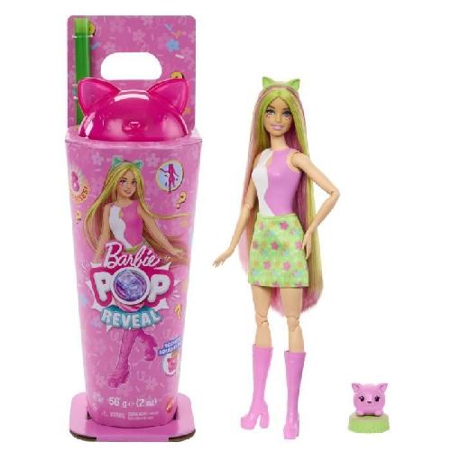 Poupee Barbie-Pop Reveal-Poupée Chaton Et Accessoires Série Shakes - 3 ans+- JCN88