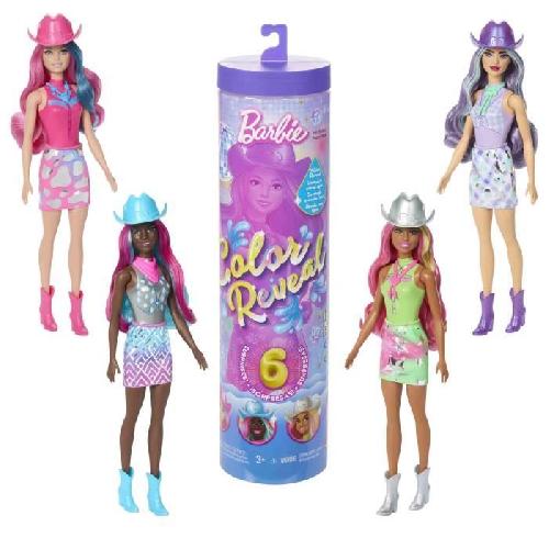 Poupee Barbie-Poupée Barbie Color Reveal-Série Disco Country Star 6 Surprises - 3 ans+- JCP01