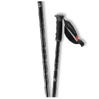 baton-de-ski baton-de-ski