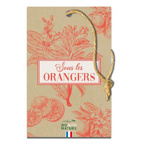 Desodorisant Auto - Parfum Auto BIOAUTONAT Plaquette oranger - Bio Auto Nature