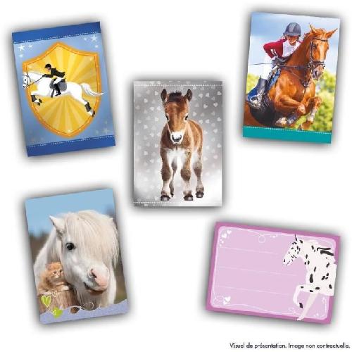 Jeu De Stickers Boîte stickers - PANINI - Collection de cartes pour les fans de chevaux - Contient 24 pochettes de 8 cartes