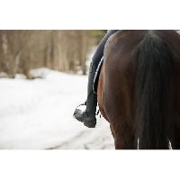 bottes-d-equitation-boots-d-equitation-bottines-d-equitation-chaps-d-equitation