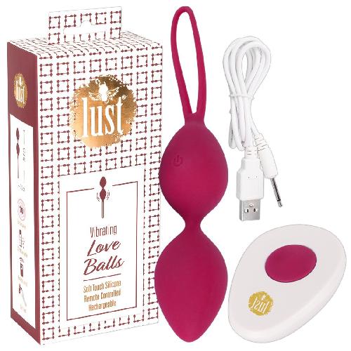 Boules de Geisha Boules de Geisha USB Lust Telecommandees Rose