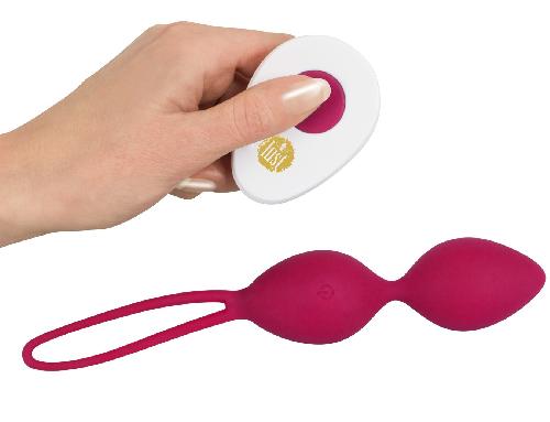 Boules de Geisha Boules de Geisha USB Lust Telecommandees Rose