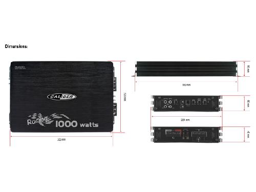CA1000.1 Amplificateur mono 1000W