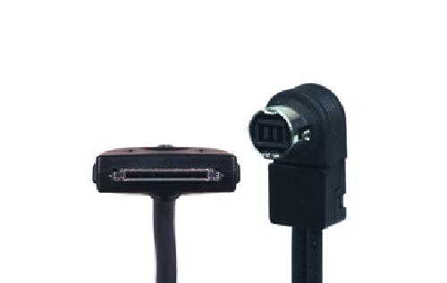 Adaptateur Aux Autoradio Cable adaptateur iPod compatible avec JVC et Alpine
