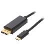 Cable - Connectique Pour Peripherique Adaptateur DisplayPort male vers USB C male 1.8m noir - Akyga