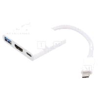 Cable - Connectique Pour Peripherique Adaptateur USB 3.0 USB 3.1 HDMI vers USB-C 20cm