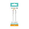 Cable - Connectique Telephone Cable Type C vers Type C 1m SD x10
