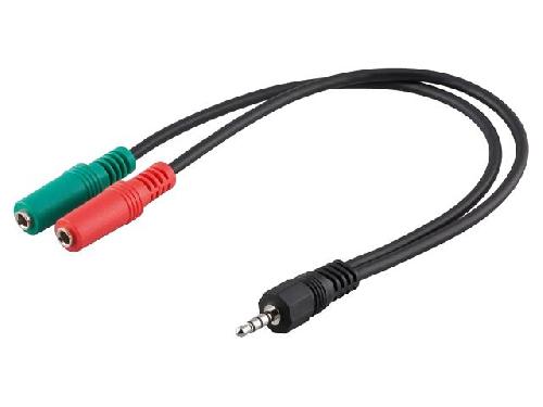 Cable - Connectique Pour Peripherique Cable Jack 3.5mm 3pin femelle x2 vers Jack 3.5mm 4pin Male