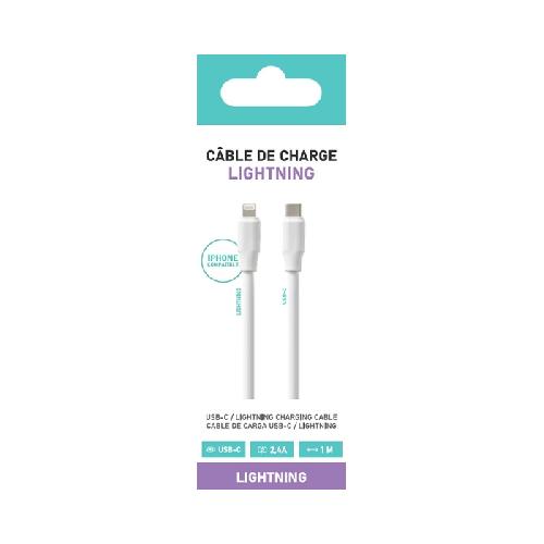 Cable - Connectique Telephone Cable Type C vers lightning 1m SD x10