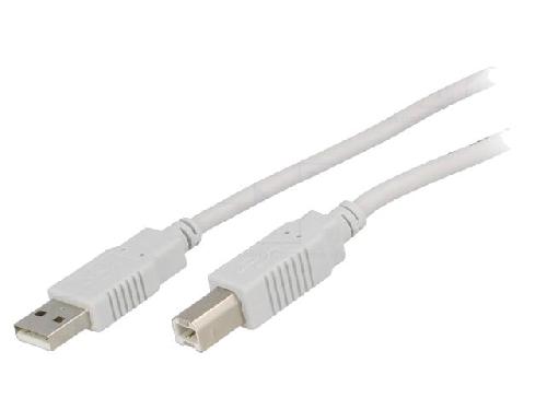 Cable - Connectique Pour Peripherique Cable USB 2.0 USB A prise male USB B prise male 3m - Gris clair