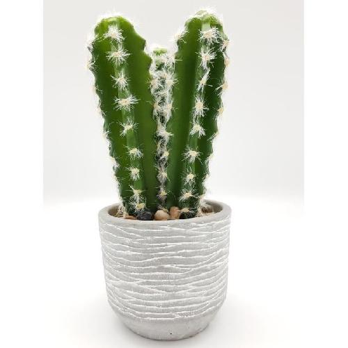 Fleur-plante Artificielle - Fleur Sechee Cactus 3 branche - En pot ceramique gris