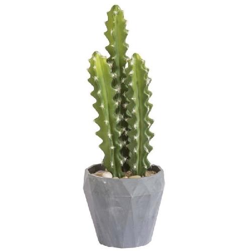 Fleur-plante Artificielle - Fleur Sechee Cactus Argentin - En pot gris