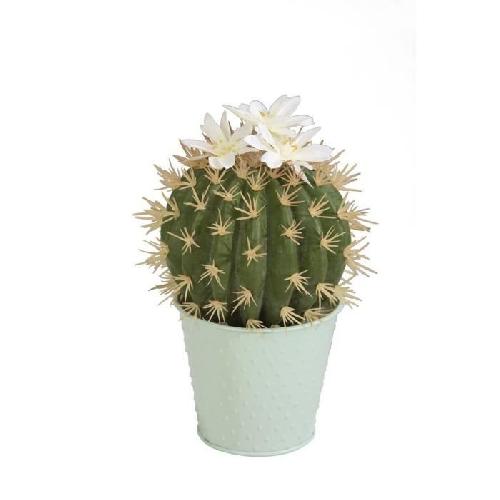 Fleur-plante Artificielle - Fleur Sechee Cactus - En pot pastel vert d'eau