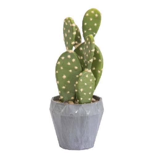 Fleur-plante Artificielle - Fleur Sechee Cactus Mexicain - En pot gris
