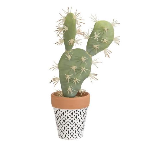 Fleur-plante Artificielle - Fleur Sechee Cactus Plat - En pot ethnique noir